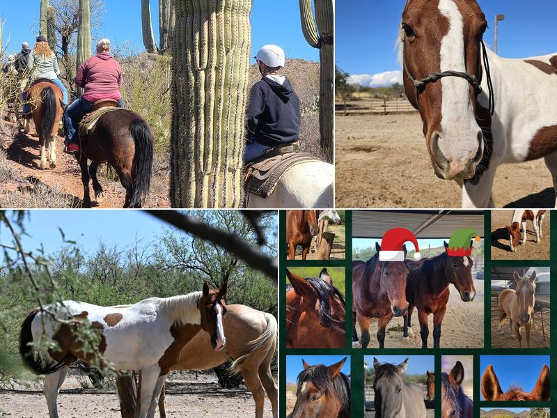 Boomerang Riding Adventures