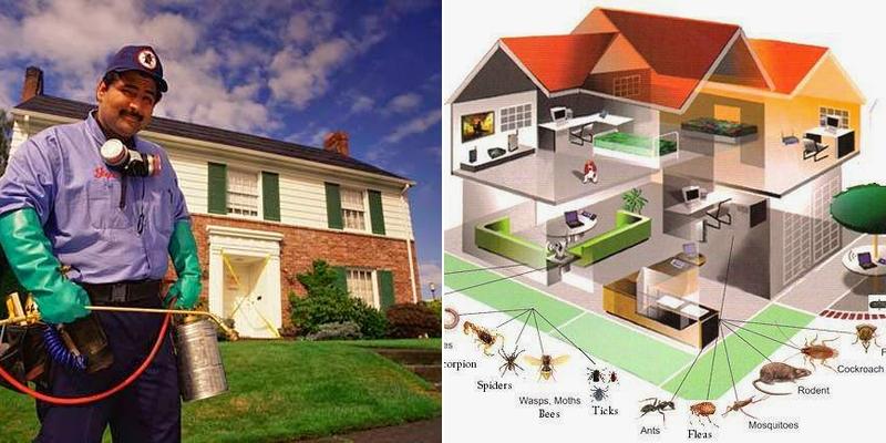 Alltex Pest and Termite Control