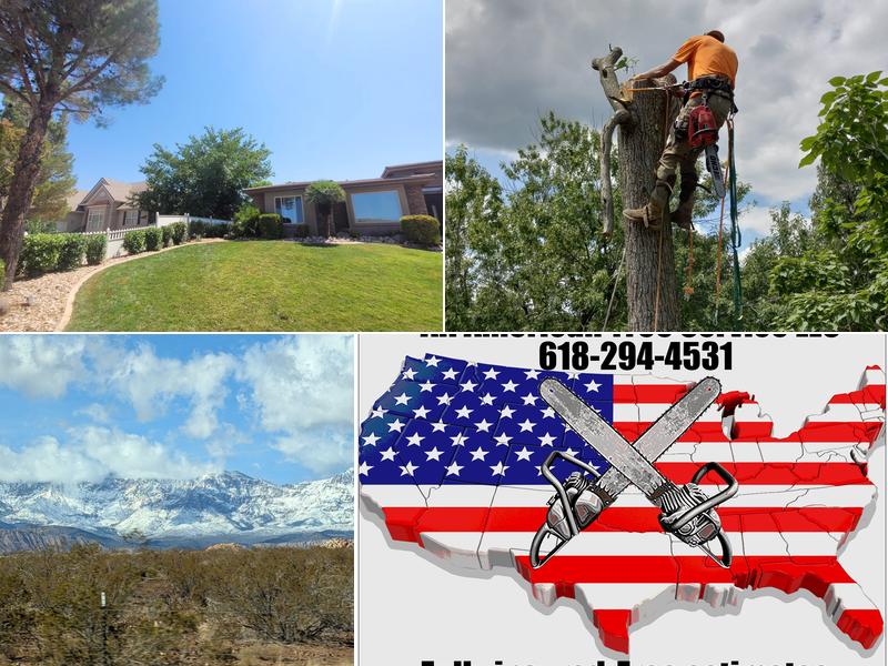 All American Tree Service LLC
