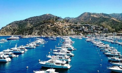 The Edgewater Avalon