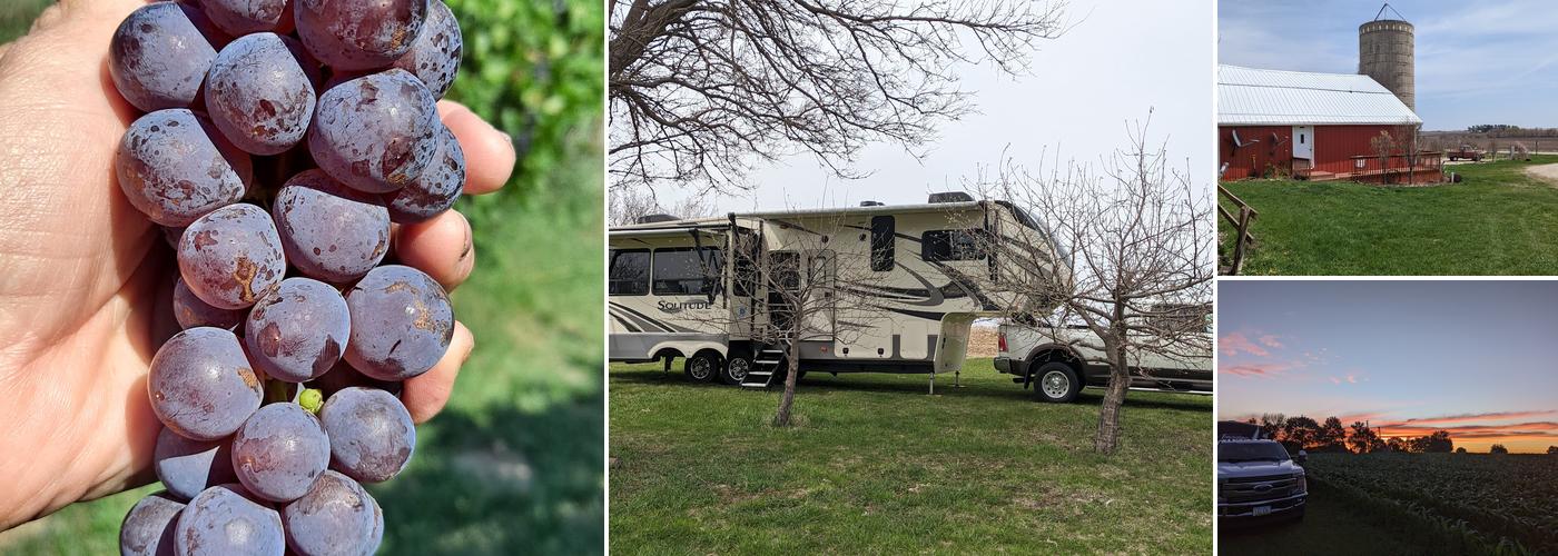 TownsEnd Winery and Vineyards