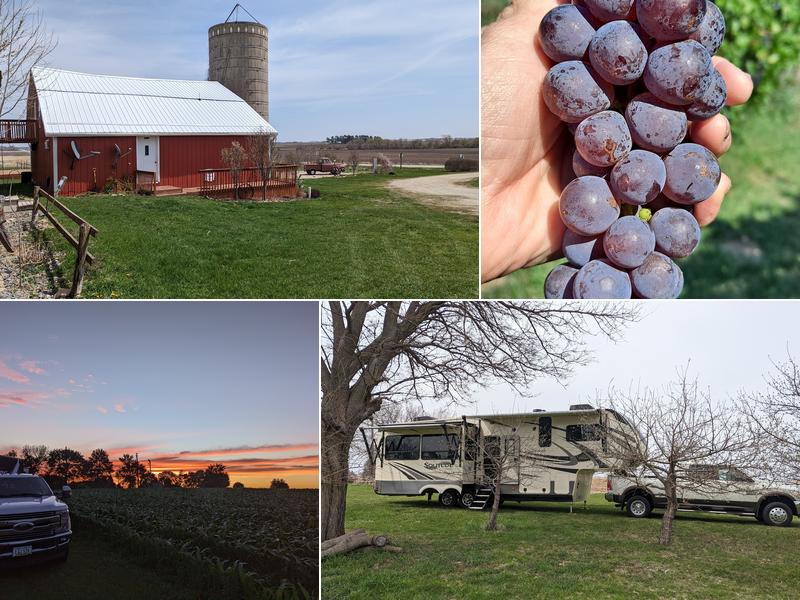 TownsEnd Winery and Vineyards