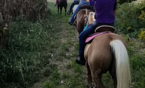 Horse Creek Trails Astoria