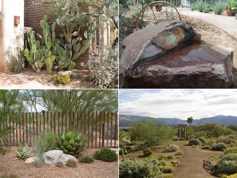 EcoSense Sustainable Landscapes