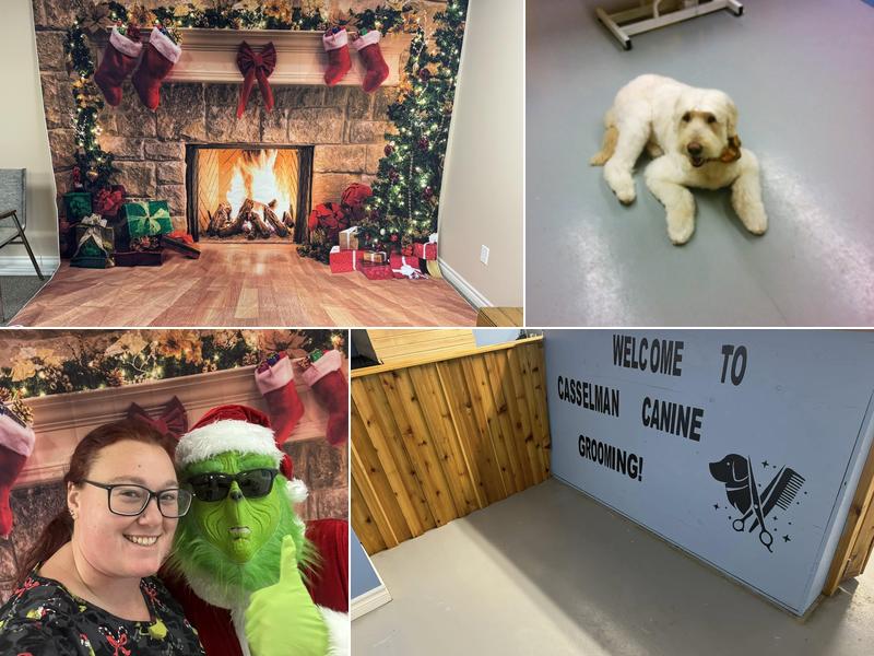 Casselman k9 Grooming