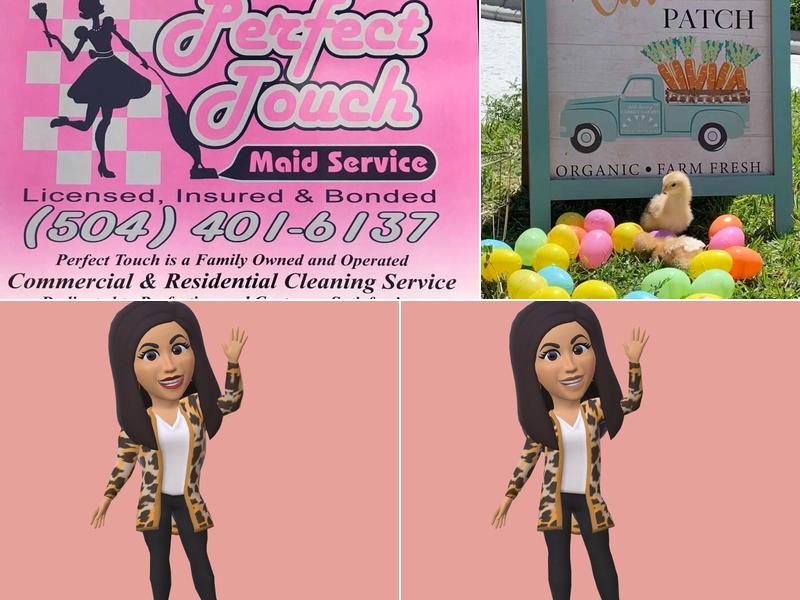 Perfect Touch Maid Service LLC