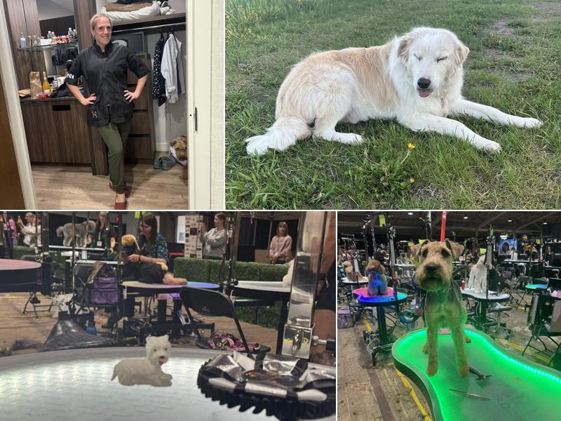 Happy Pups Canine Concierge