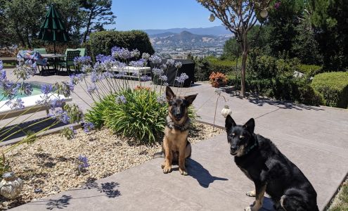 Dogs With Ties 18075 Shadowbrook Way, Morgan Hill California 95037