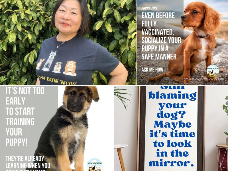 Wow Bow Wow Dog Trainer