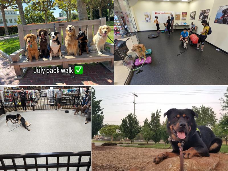 Flexible Pet Solutions