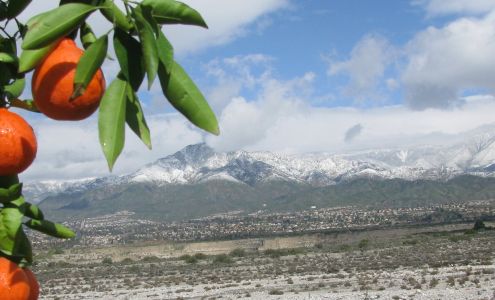 Andrew Phillips Financial Services, LLC