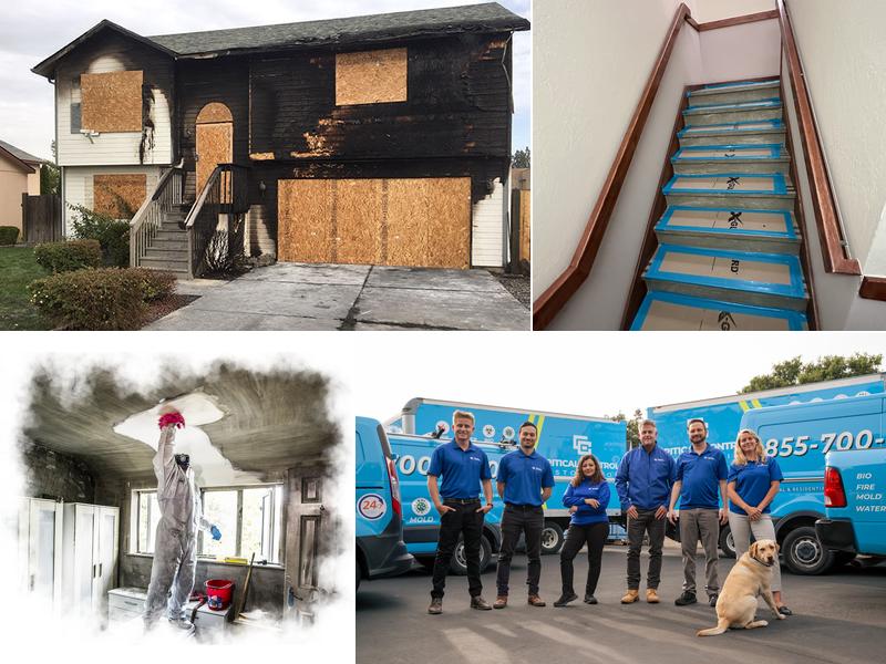 Critical Control - Restoration service