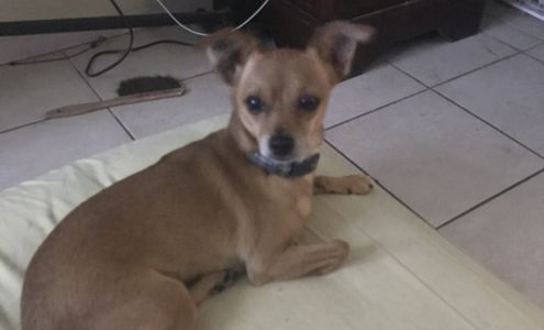 Financial Benefits Insurance, Inc.