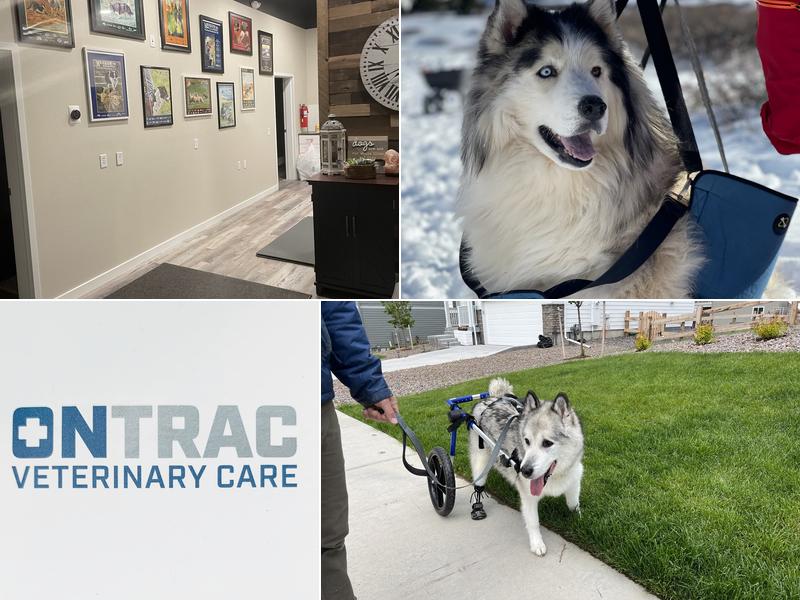 On TRAC Veterinary Care