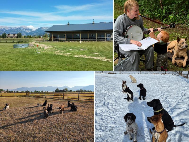 Good Dog! Training and Boarding