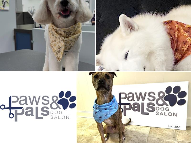 Paws & Pals Dog Salon