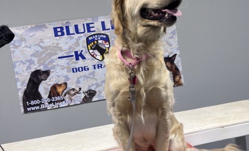 Blue Line K-9 Dog Training