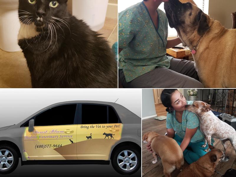 Desert Bloom Mobile Veterinary Service