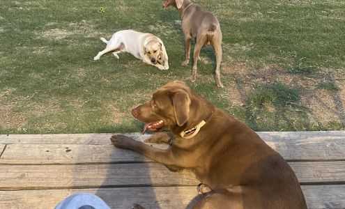 FURever Together LLC