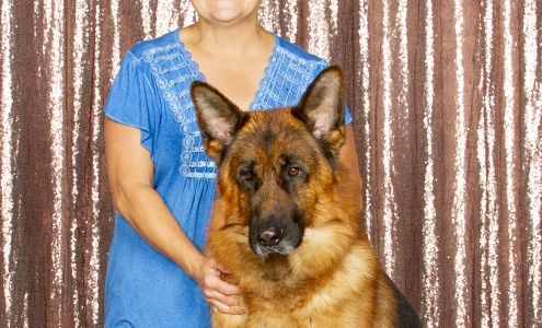 Conway Canine Companions