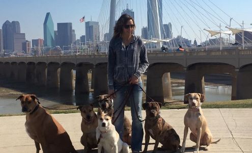 Hoodlum Hounds Dog Training 6 Greenfield Way, Lucas Texas 75098