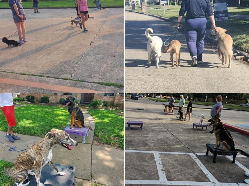 Tail to Tail Training