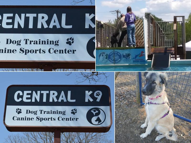 Central K-9