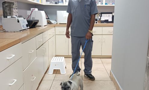 Miller Pets Animal Hospital: Dr. Brunet