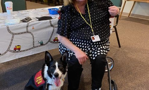 Saling's Obedience School