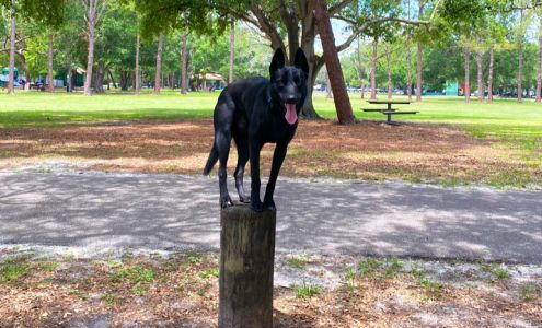 Tip Top K9 Dog Training