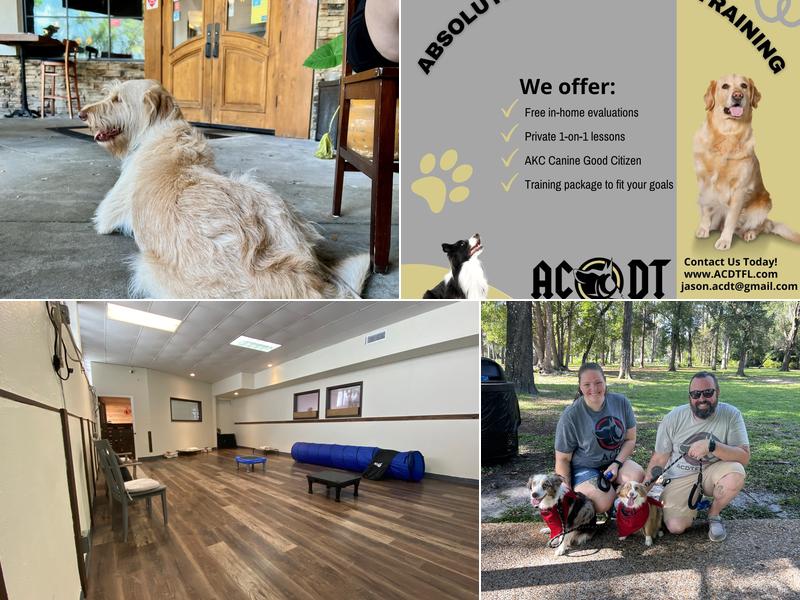 Absolute Control Dog Training Of Orlando