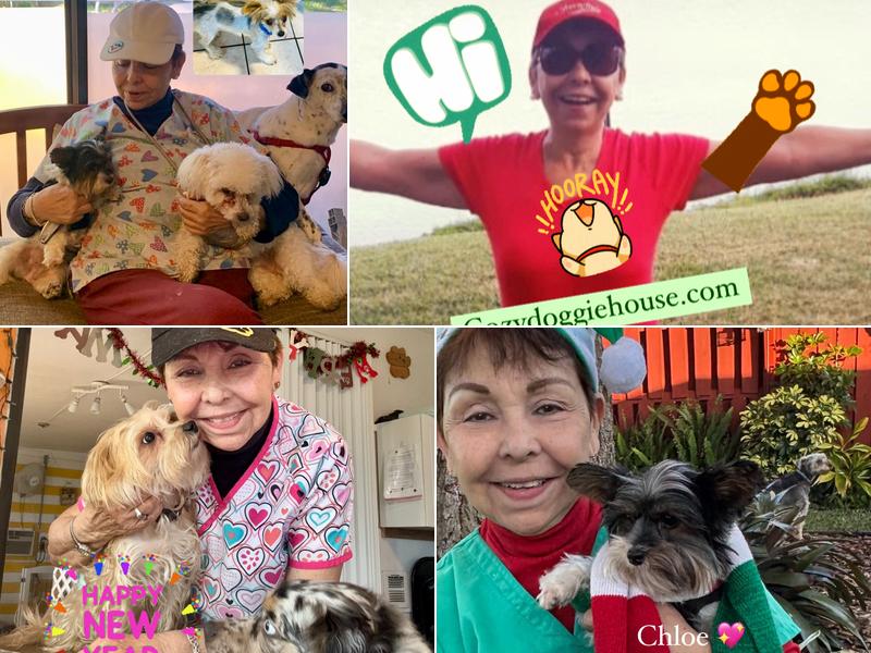 Cozy Doggie House ????????