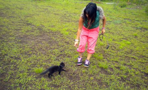 Marie's Pet Sitting and Dog Walking