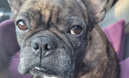 Animo etc Ste-Julie Sainte-Julie