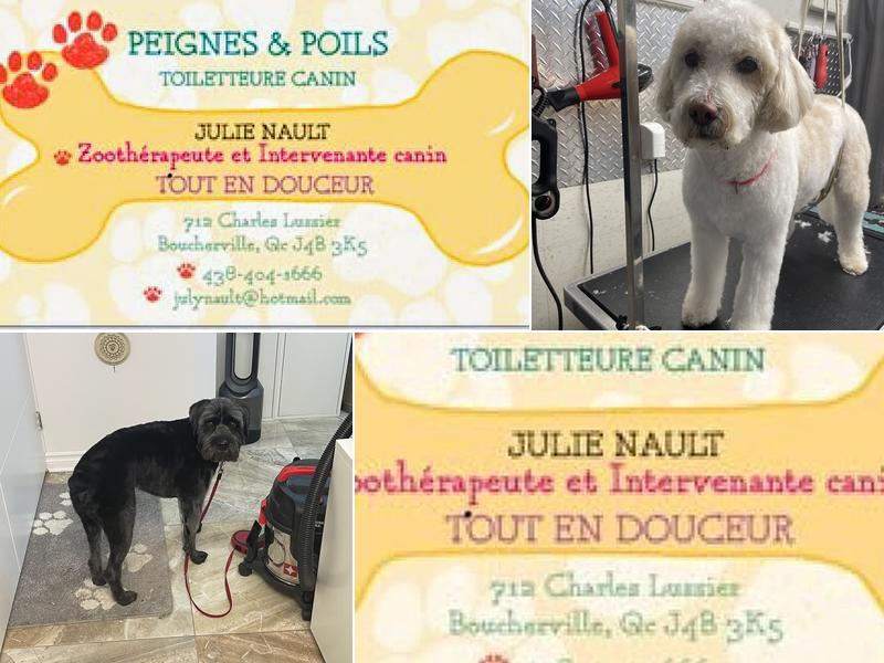 Peignes & Poils Toiletteur Tout en Douceur