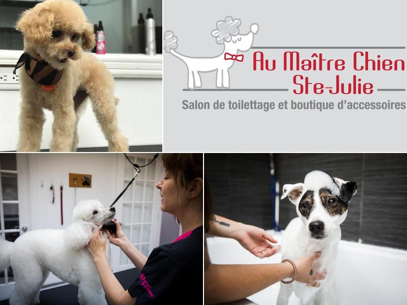 Au Maître Chien Ste-Julie
