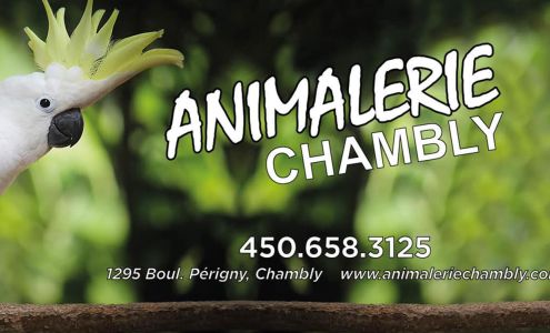 Animalerie Chambly