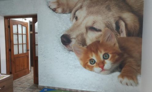 Clinique Vétérinaire Du Bas-Richelieu Sorel-Tracy