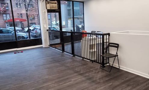 The Royal Dogs grooming 1427 York Ave, New York New York 10021