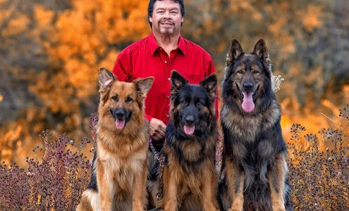 Top Dog Idaho Professional Dog Training