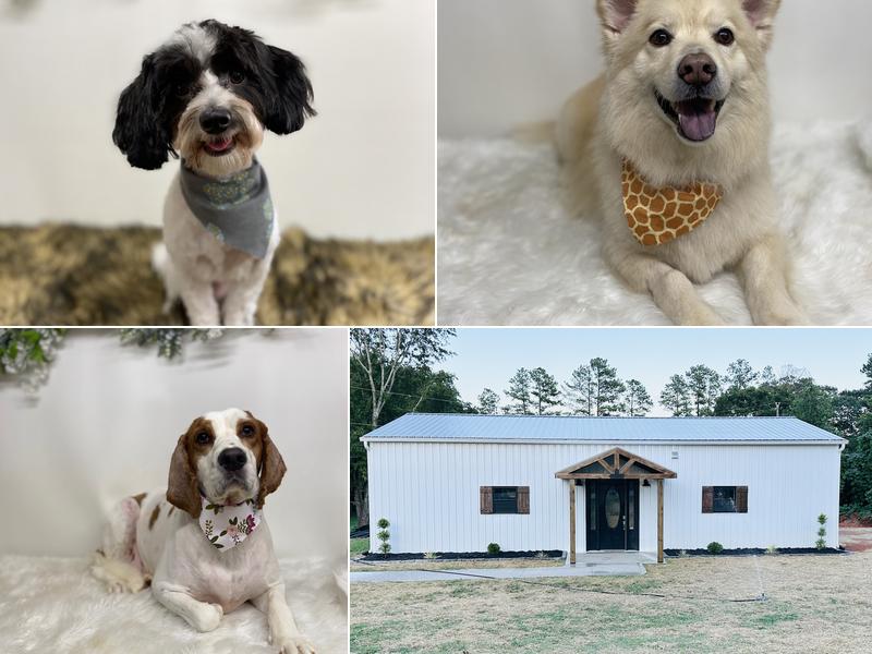 Cosmopawlitan Resort & Spa, LLC