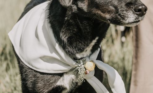 Jo L McDougal Seamstress