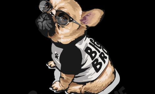 Rascal Dog Walking N 76th Ct, Elmwood Park Illinois 60707