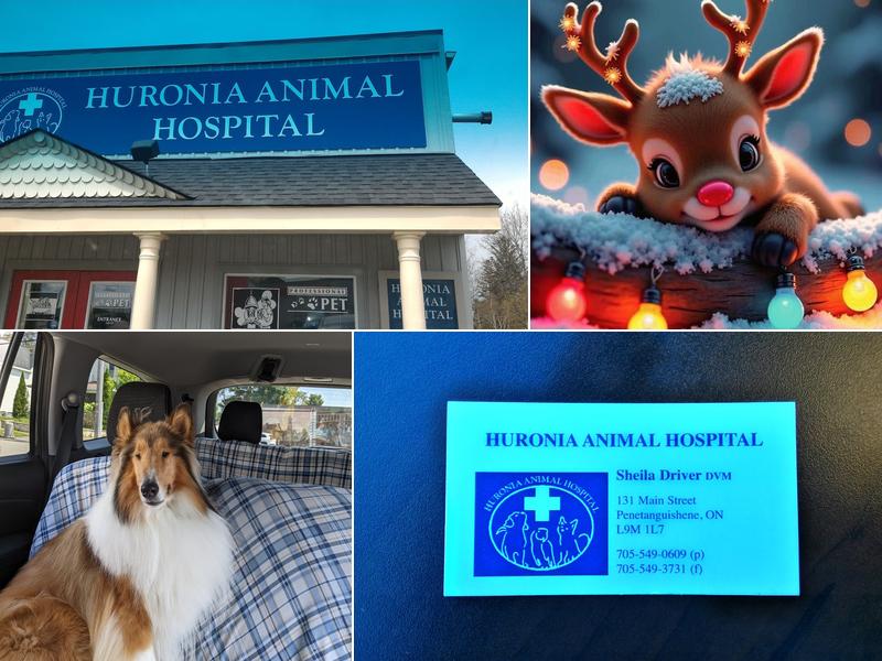 Huronia Animal Hospital