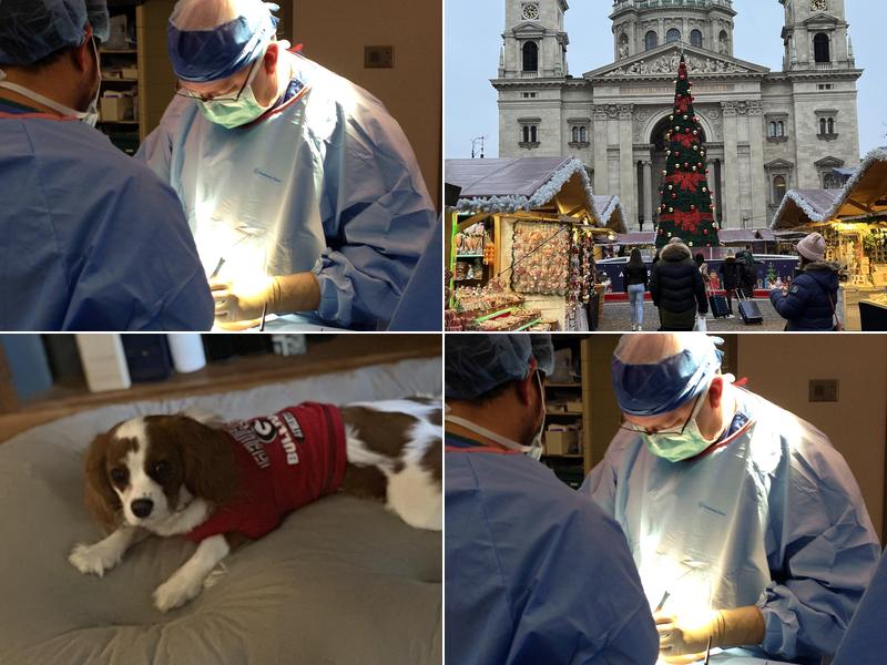 Ocmulgee Surgical Associates: Campbell Robert C MD