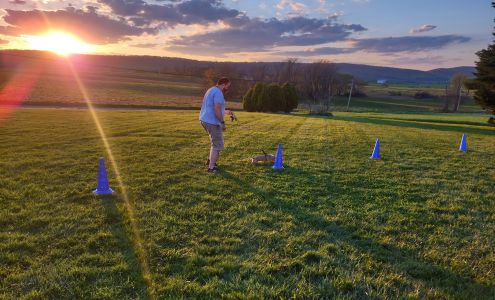 Fitnacity Dog Training 4815 Catholic Church Rd, Knoxville Maryland 21758