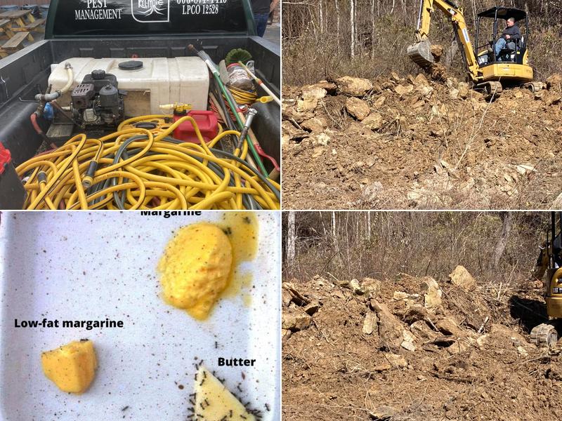 Kil-More Pest Management & Extrmntn