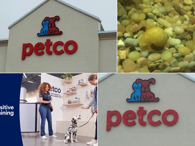 Petco Dog Training