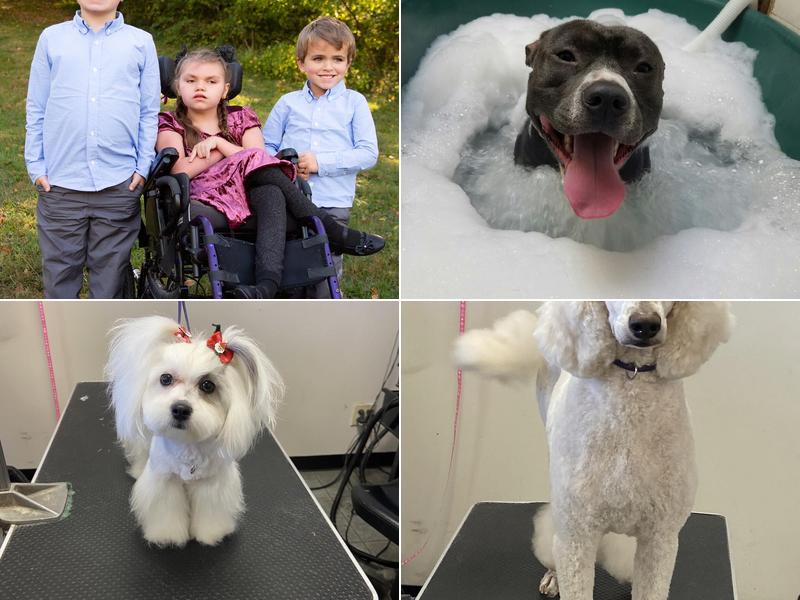 Grooming By Tanya, LLC