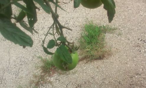 Huff Trucking Inc 3170 Ziegler Rd, Piqua Ohio 45356